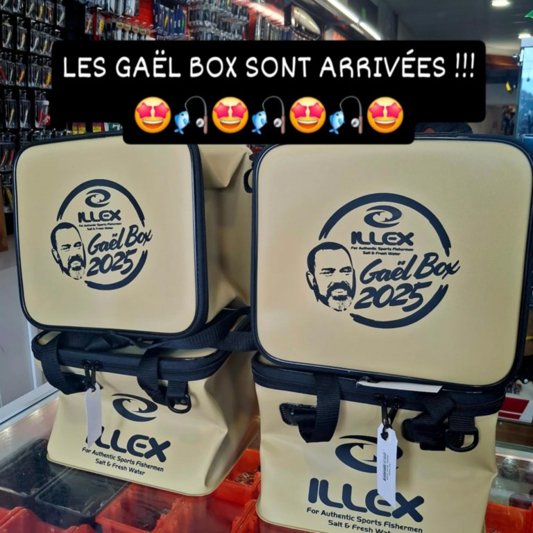 pêche carnassiers tarn