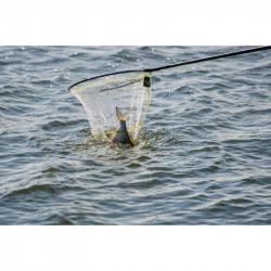 TETE EPUISETTE ULTRA LITE LANDING NET MATRIX