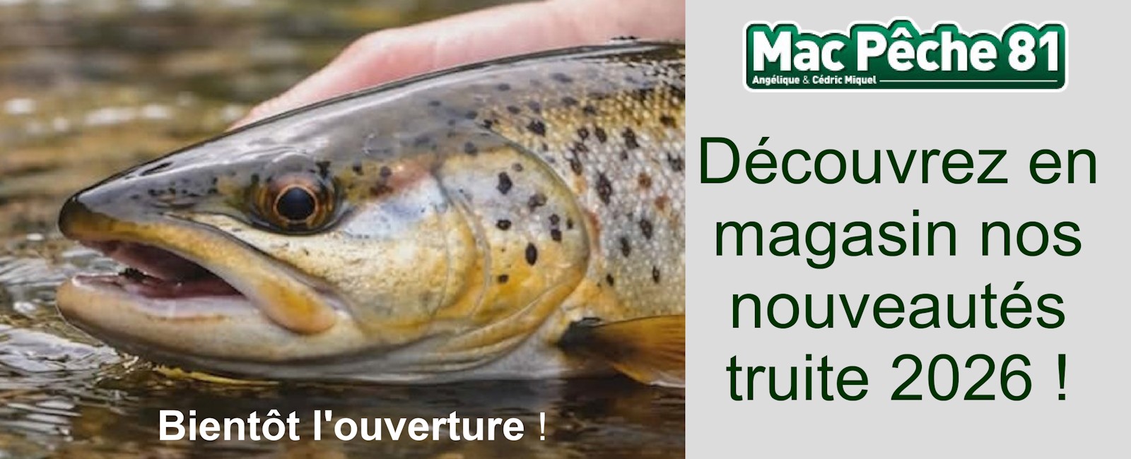 Nouveautés pêche à la truite